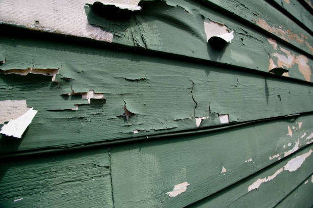 Best Siding Painting and Refinishing  in Lightstreet, PA