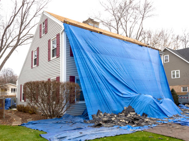 Best Vinyl Siding Installation  in Lightstreet, PA