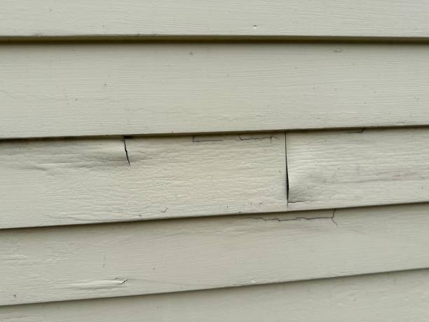 Best Insulated Siding Installation  in Lightstreet, PA